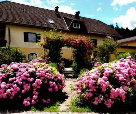 Ponyhof Nachbar * Stein im Jauntal